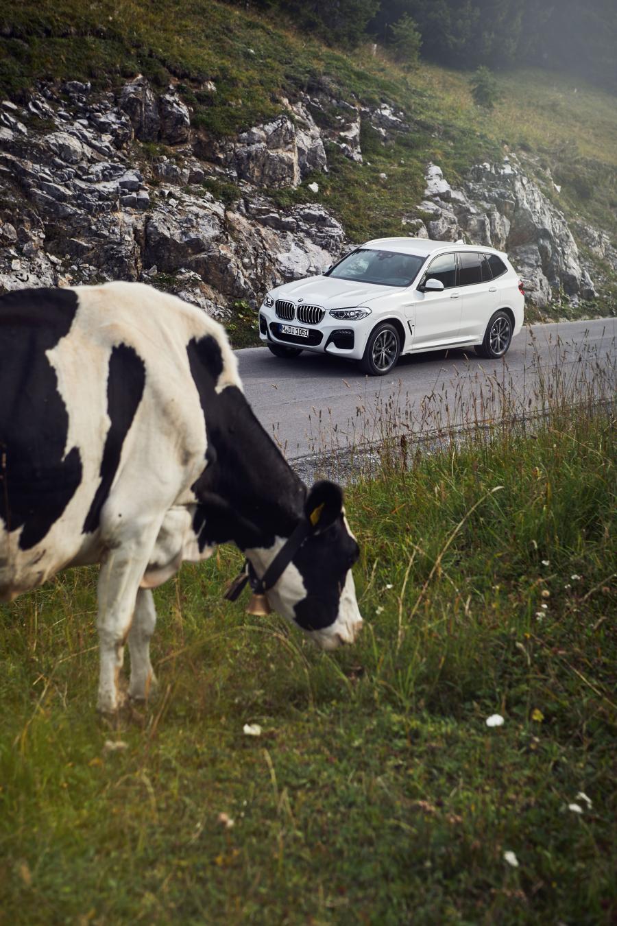  BMW X3 xDrive30e M Sport (G01) 2019 года  (WW) (фото 13 из 19)